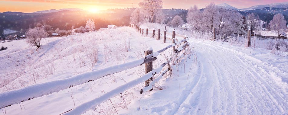 farm-winter-banner