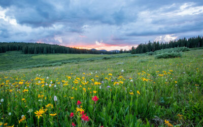Spring Is Here in North Idaho — Is Your Auto or Business Insurance Ready?