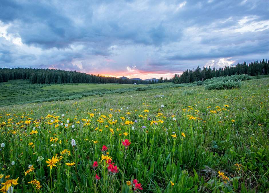Spring Is Here in North Idaho — Is Your Auto or Business Insurance Ready?