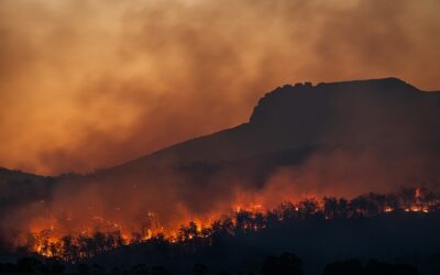 Is Your Home Ready for Wildfire Season? What Your Montana or Idaho Insurance Does (and Doesn’t) Cover